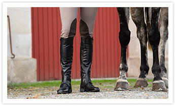 boots-chaps-cuir-equitation 